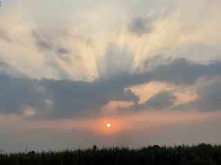 A891F70A-9133-4A68-975E-04881FA7B8FA/L0/001