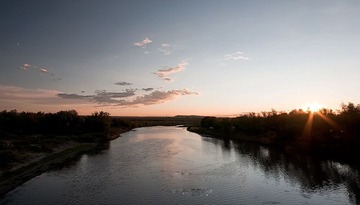 233.jpg