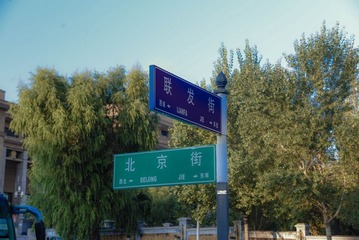 DSC_1312.jpg