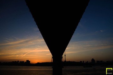 DSC_9249.jpg