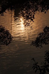 P1136679