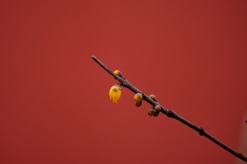 4880