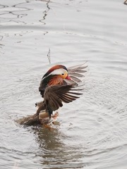 14220