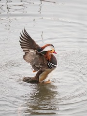 14218
