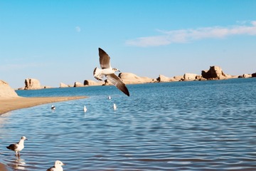 99B75E56-55DB-4384-B686-7AFDF0358D81/L0/001
