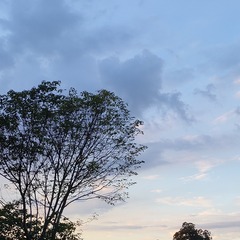1000007725