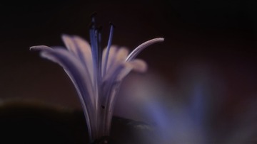 7D11839B-3D69-476C-89A6-186D53DD40AA/L0/001