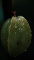 D638DDED-7D54-493F-953B-B95D69A88954/L0/001