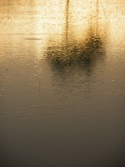 119901