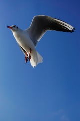 282087