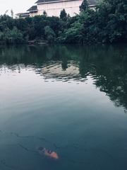 1000038624
