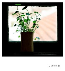 静物2-瓶子.jpg