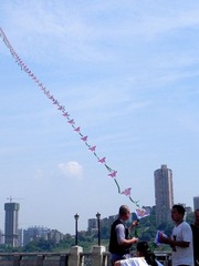 DSCN0181-S.jpg