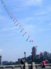 DSCN0188-S.jpg