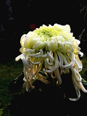 DSCN0016_副本.jpg