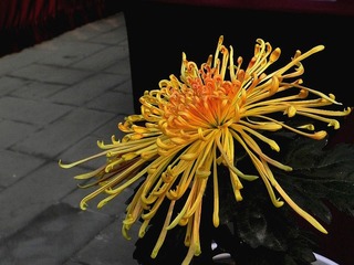 DSCN0027_副本.jpg
