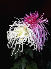 DSCN0032_副本.jpg