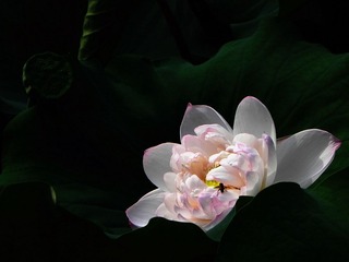 DSCN6047.jpg
