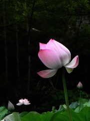 DSCN5897.jpg