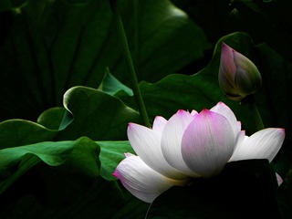 DSCN5914.jpg