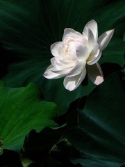 DSCN6128.jpg