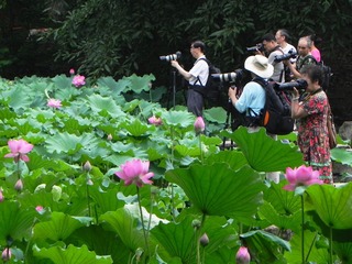 DSCN5972.jpg