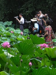DSCN5971.jpg