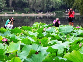 DSCN5142.jpg