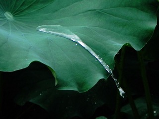 DSCN6223.jpg