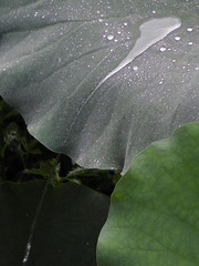 DSCN6197.jpg
