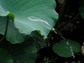 DSCN6199.jpg