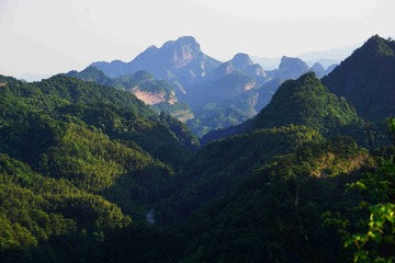 DSC03555_