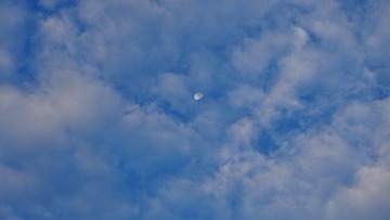 1CE705E6-C1D5-4909-815B-4A2F4BC2DA02/L0/001