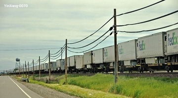 _DSC6884