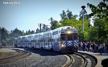 _DSC6905