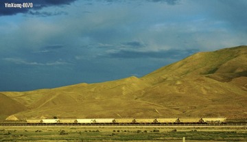 _DSC7116