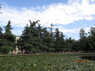 IMG_1176.JPG