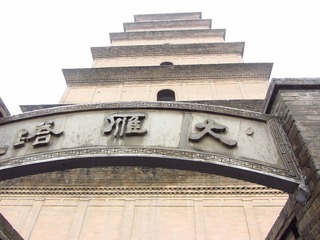 IMG_1429.JPG