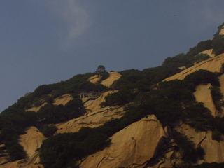 IMG_1266.JPG