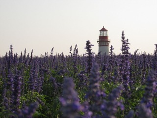 IMG_1902.JPG