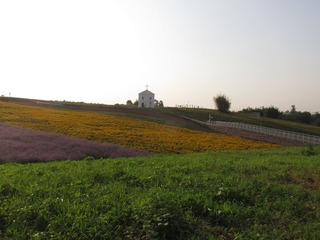 IMG_1893.JPG