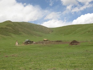 IMG_2137.JPG