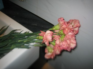 BD3D87A0-6EF2-4D8D-BAFC-C7FA002B116D/L0/001