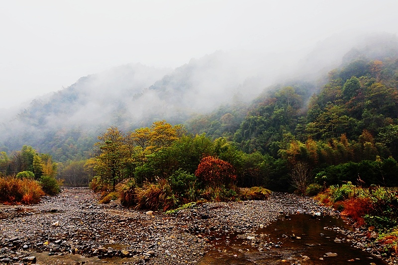 浏阳大光洞革命老区
