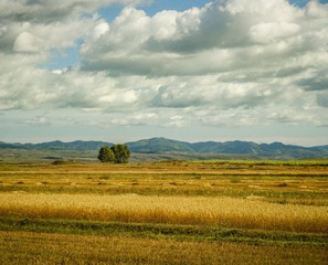 IMG-01_1373-CS-20100918去坝上的路上