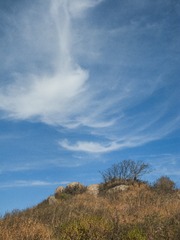 IMG_2998-CS
