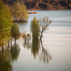 IMG_0778-CS