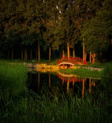 IMG_0170-CS