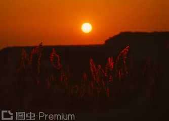 大图Z428-005-SF-CS-授权20121105