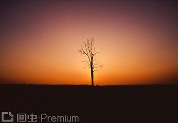 大图Z427-034-SF-CS-授权20121105